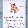 user3422800490792
