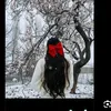 hw_b88