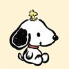 www.serch