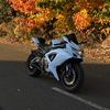 600ccsam