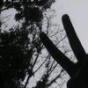 qillah_26