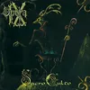 theshadowsmadame