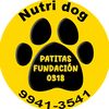 PATITASFUNDACIÓN0318