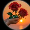 zayya.86