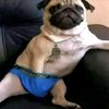ghetto_and_tatted_yn