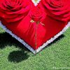 nagaad88n