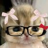 eli._416