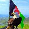 jabar.khan4340