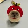applexiaojieplays