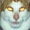 arajmbt