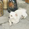 ánh nắng của anh