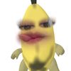 fernandabenitezor