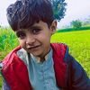 habibullah.wassan49