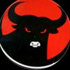 rudis405