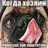 .nelegapelo
