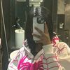 amna7366