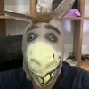 Donkey Reviews