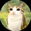 meowi811
