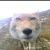 ander_son46899