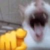 ratnazxh