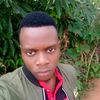 hamisimrisho336