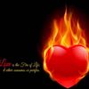 user4927760021033