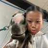 est_horse