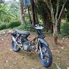royn305
