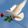 Daily Prayer