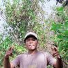 arilazhari34