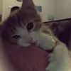 lizkkka27