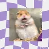 mngim3