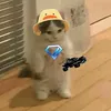 fran_fn1