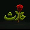 haris_afridi99