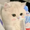 oanh_are