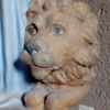 liondejuda62