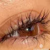 hallyyevamm