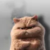 nguynhthin0