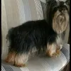 manuel.cipriano33