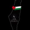 hagarmohamed3512