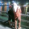 fujie.gmr