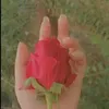user94199679061988