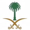 layn.almarwani