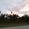 tandongkar