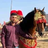 adil.adil541