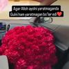 sofia_safarova_
