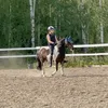 pienet_ponit
