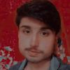 dashybacha8