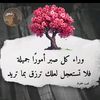 osmalhj22