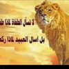 user6774191271684